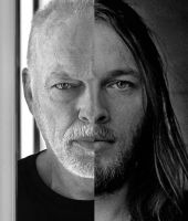 David Gilmour