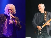 David Gilmour