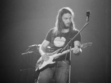 David Gilmour