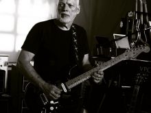 David Gilmour