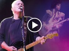David Gilmour