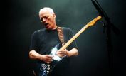 David Gilmour