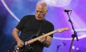 David Gilmour