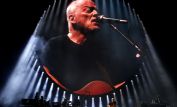 David Gilmour