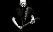 David Gilmour