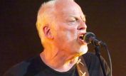 David Gilmour