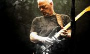 David Gilmour