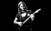 David Gilmour