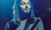 David Gilmour