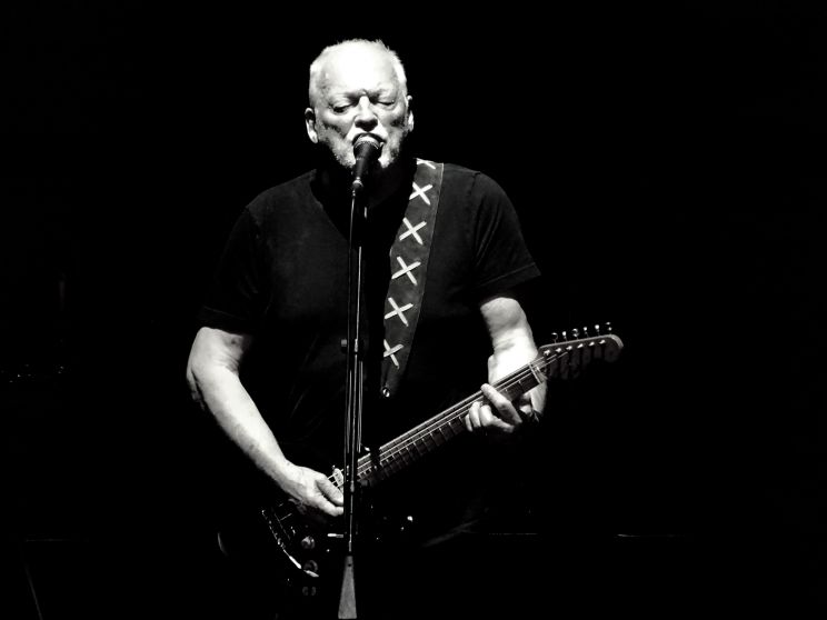 David Gilmour