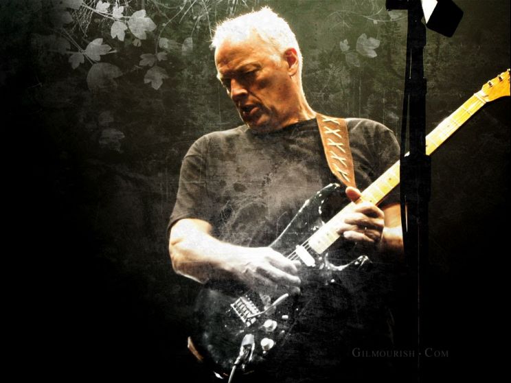 David Gilmour