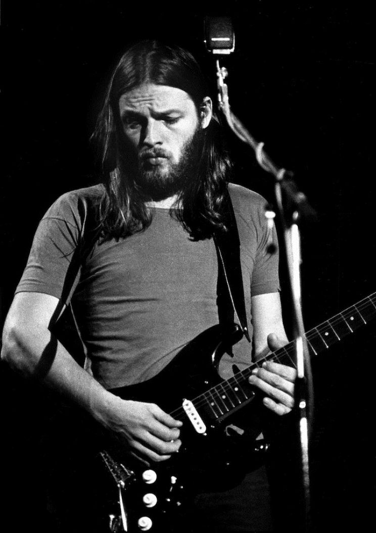 David Gilmour