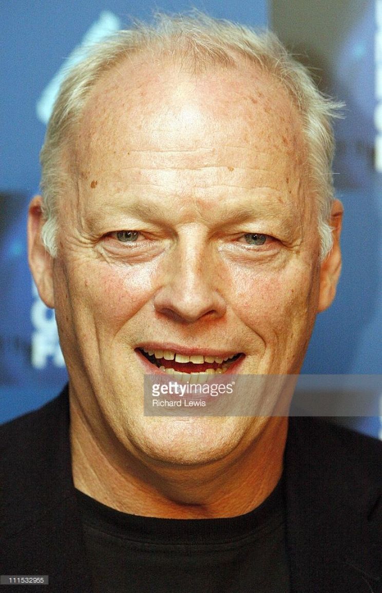 David Gilmour