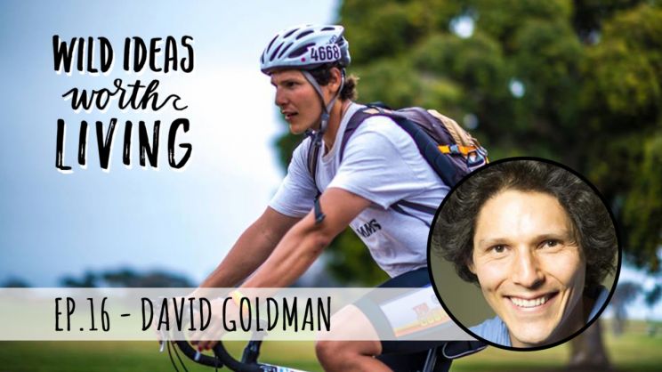 David Goldman