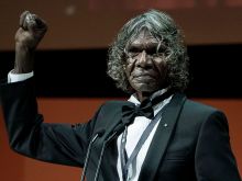 David Gulpilil