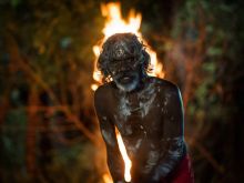 David Gulpilil