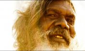 David Gulpilil