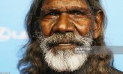 David Gulpilil