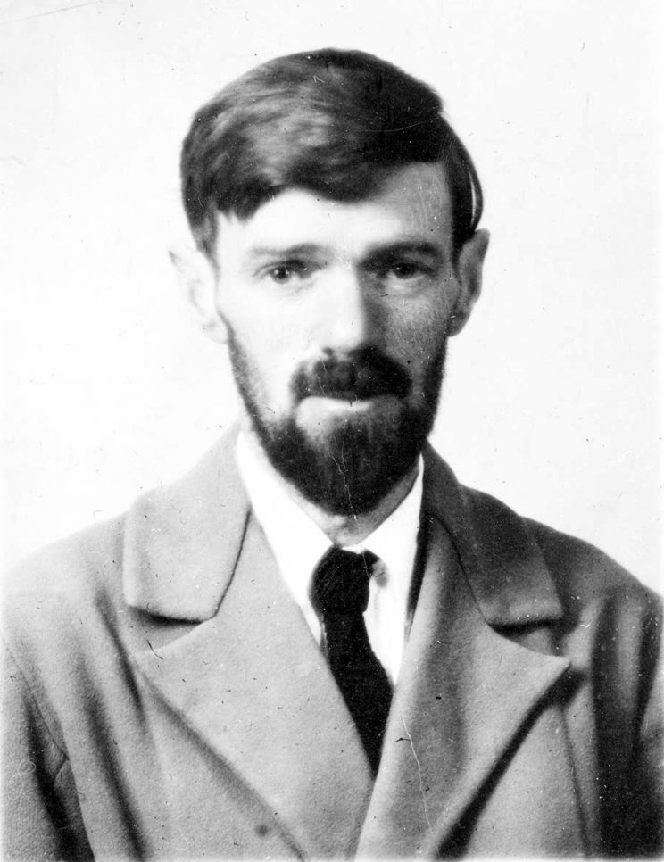 David H. Lawrence XVII