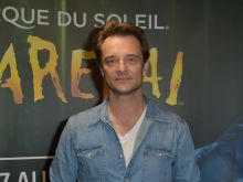 David Hallyday #3477670 picture (Landscape Medium)