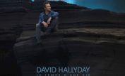 David Hallyday