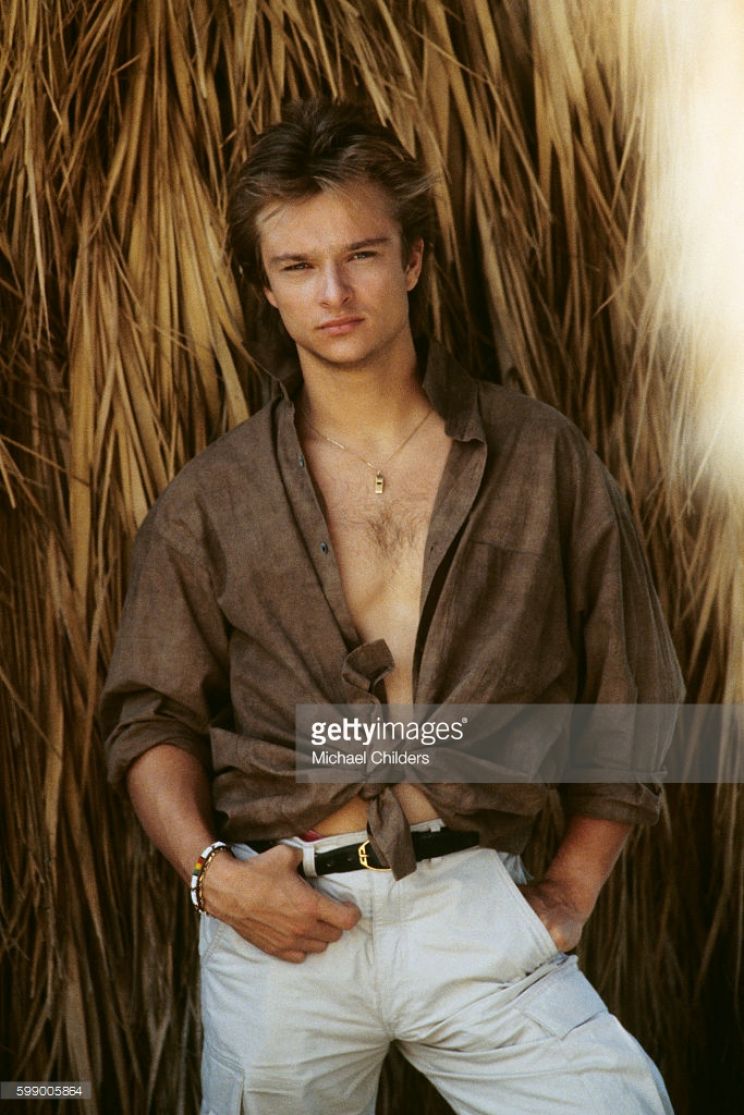 David Hallyday