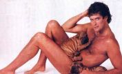 David Hasselhoff