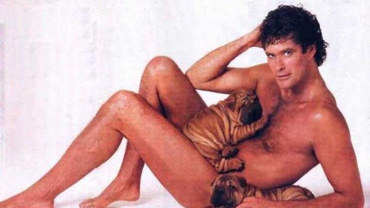 David Hasselhoff
