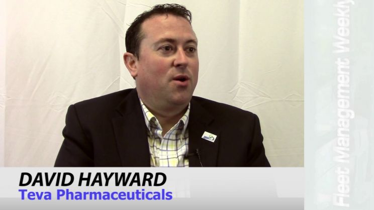 David Hayward