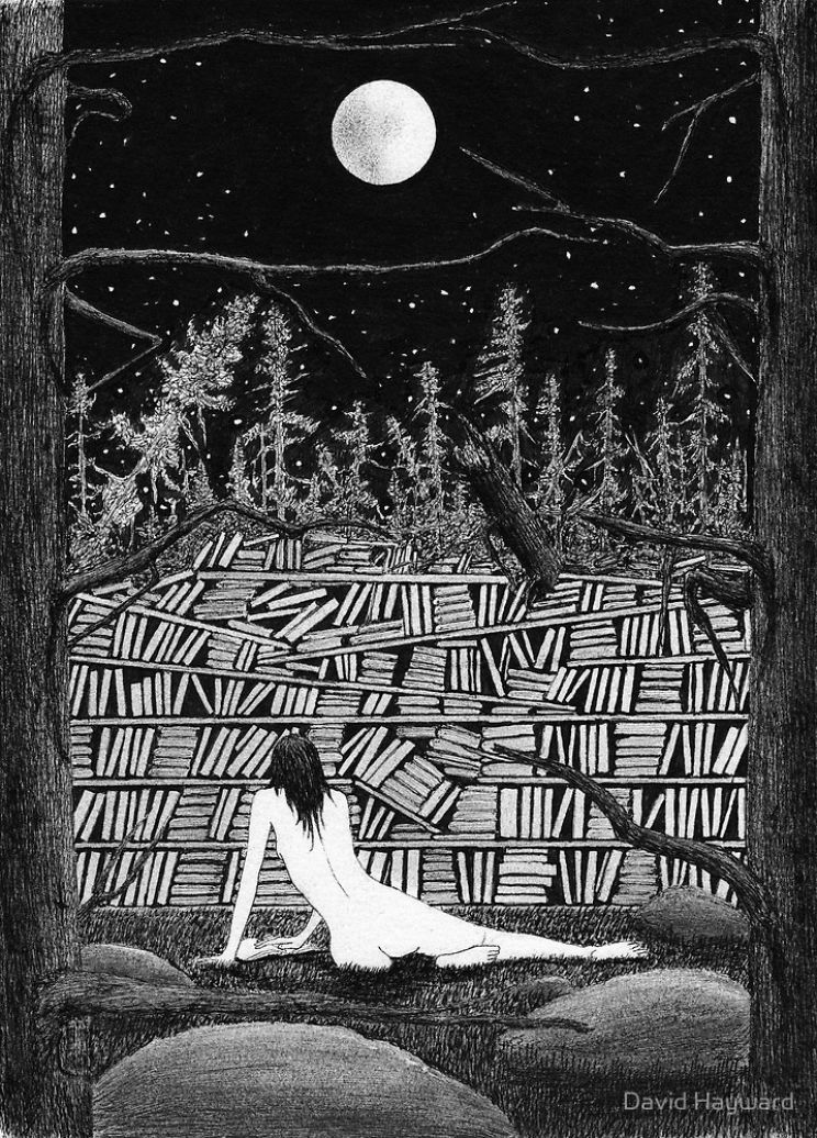 David Hayward