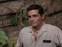 David Hedison