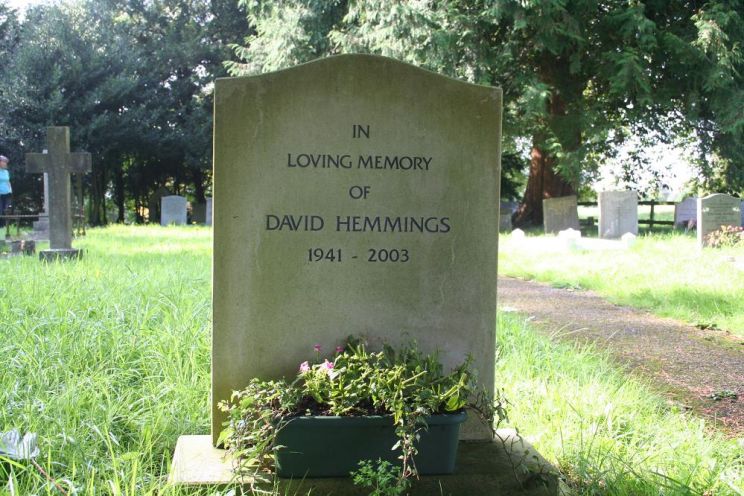 David Hemmings