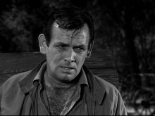 David Janssen