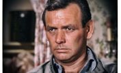 David Janssen