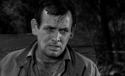 David Janssen