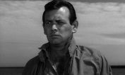 David Janssen