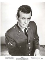 David Janssen #826531 picture (Portrait Medium)