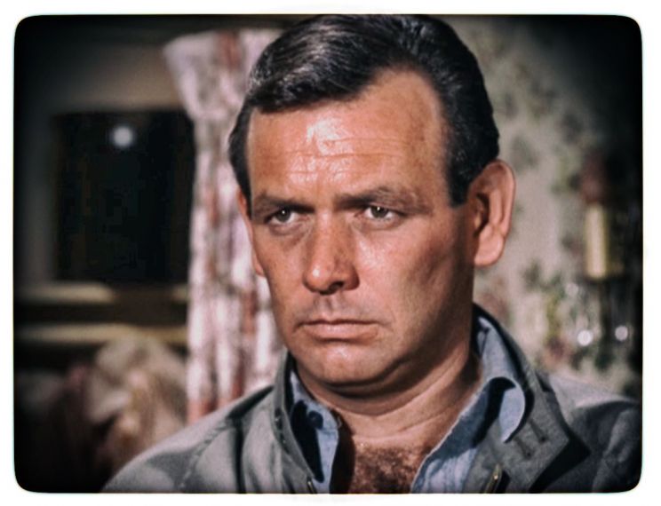 David Janssen