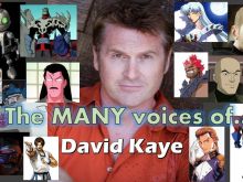 David Kaye