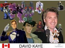 David Kaye