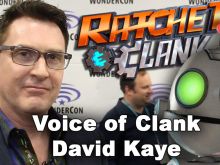 David Kaye