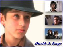 David Kaye