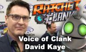 David Kaye