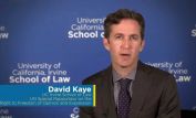 David Kaye