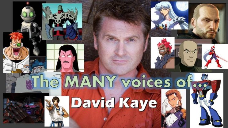 David Kaye