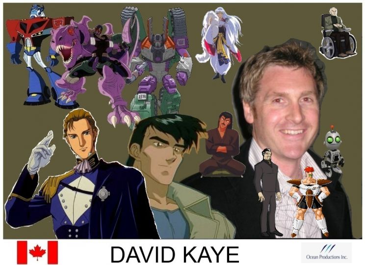 David Kaye