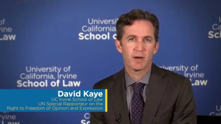 David Kaye