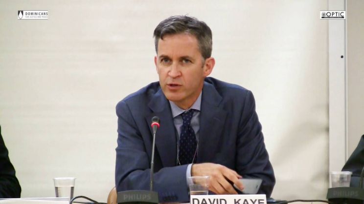 David Kaye