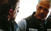 David Labrava