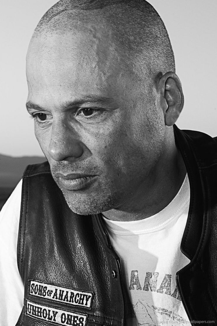 David Labrava